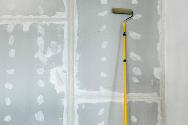 Best Drywall Sanding and Smoothing  in Elk Grove Vlage, IL